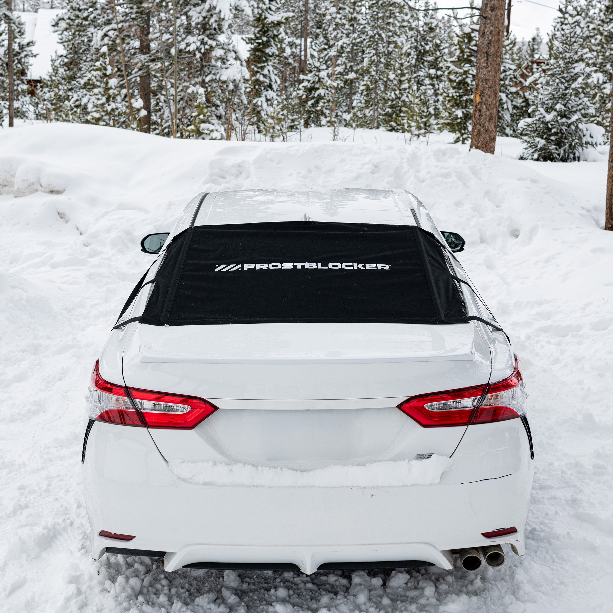 Rear Window FrostBlocker by Delk