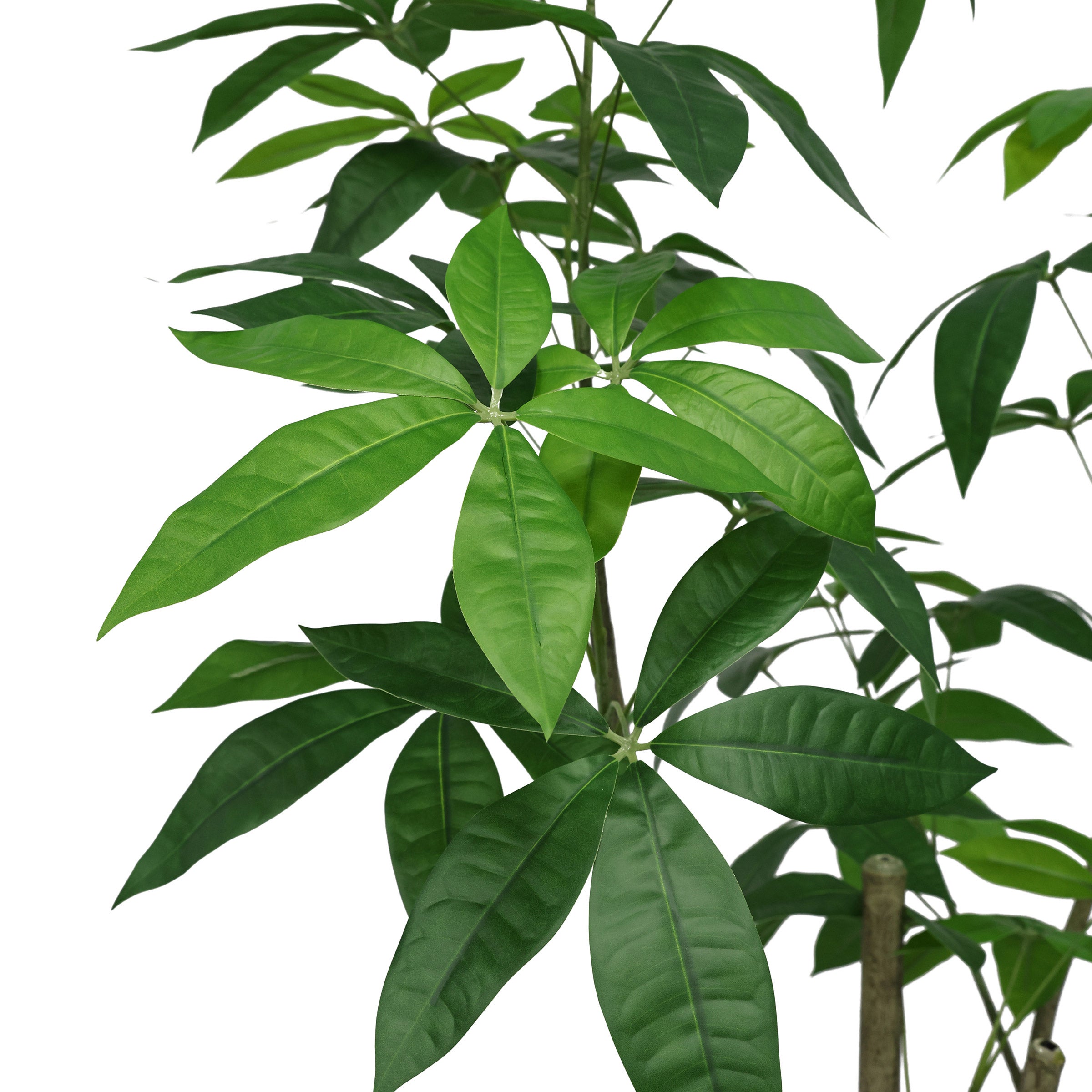 Faux 6.5' Schefflera Tree