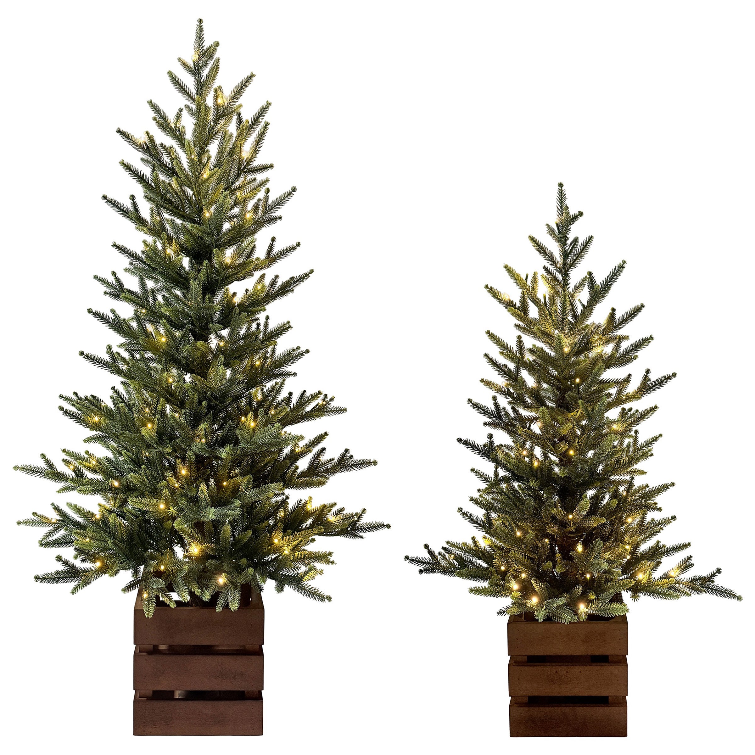 Boxed Pine Trees with Twinkle Lights, Set of 2