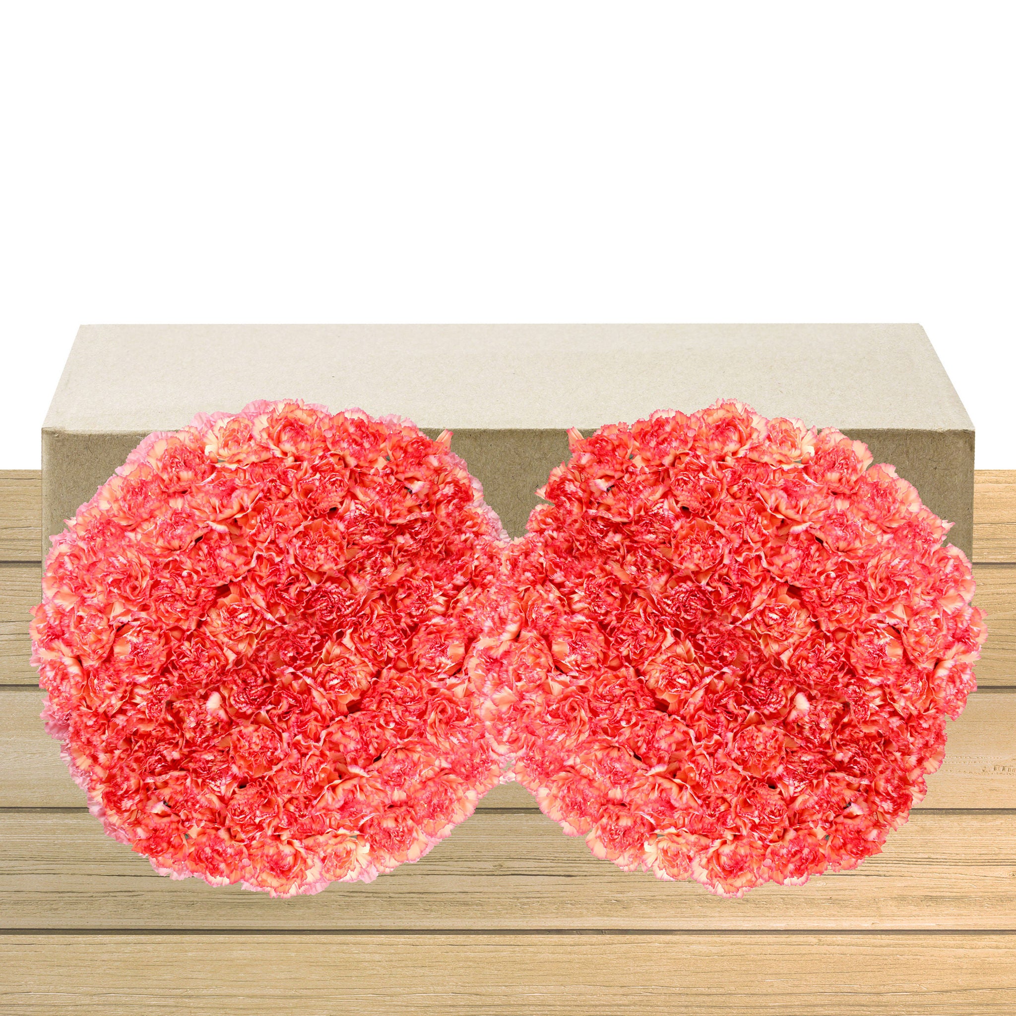 100-stem Carnations