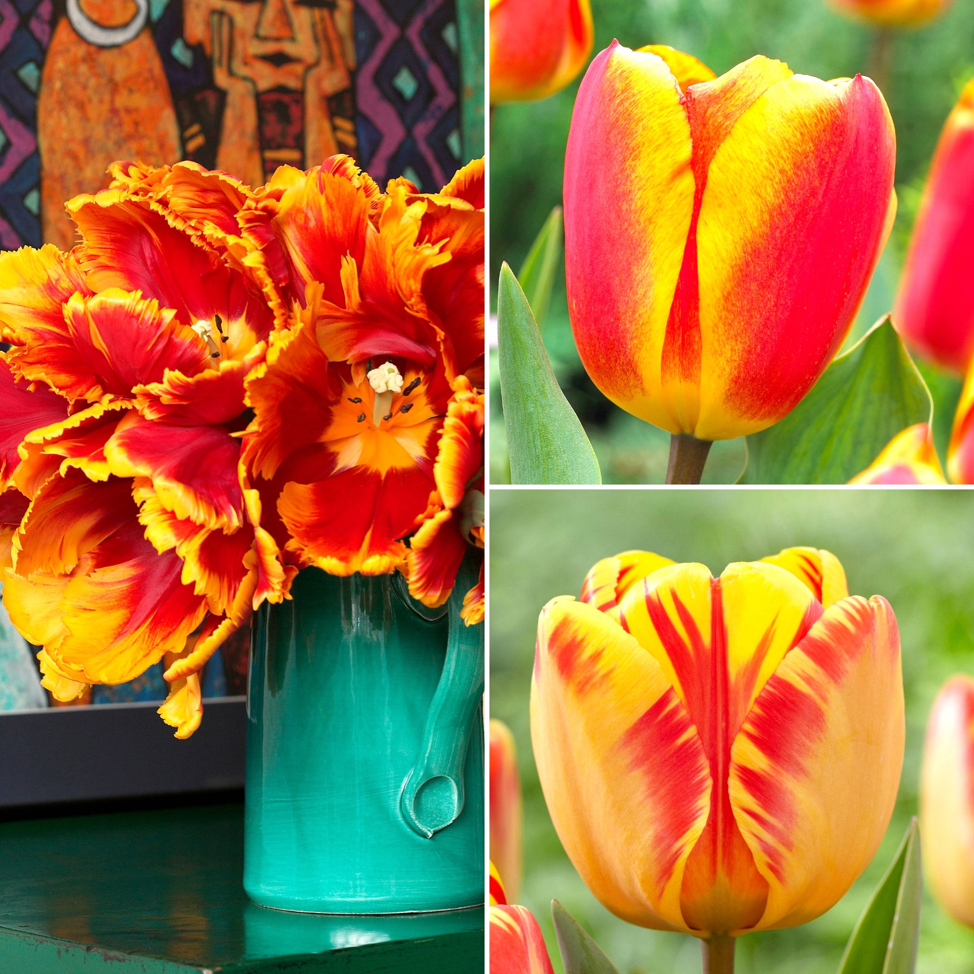 Red and Yellow Tulips