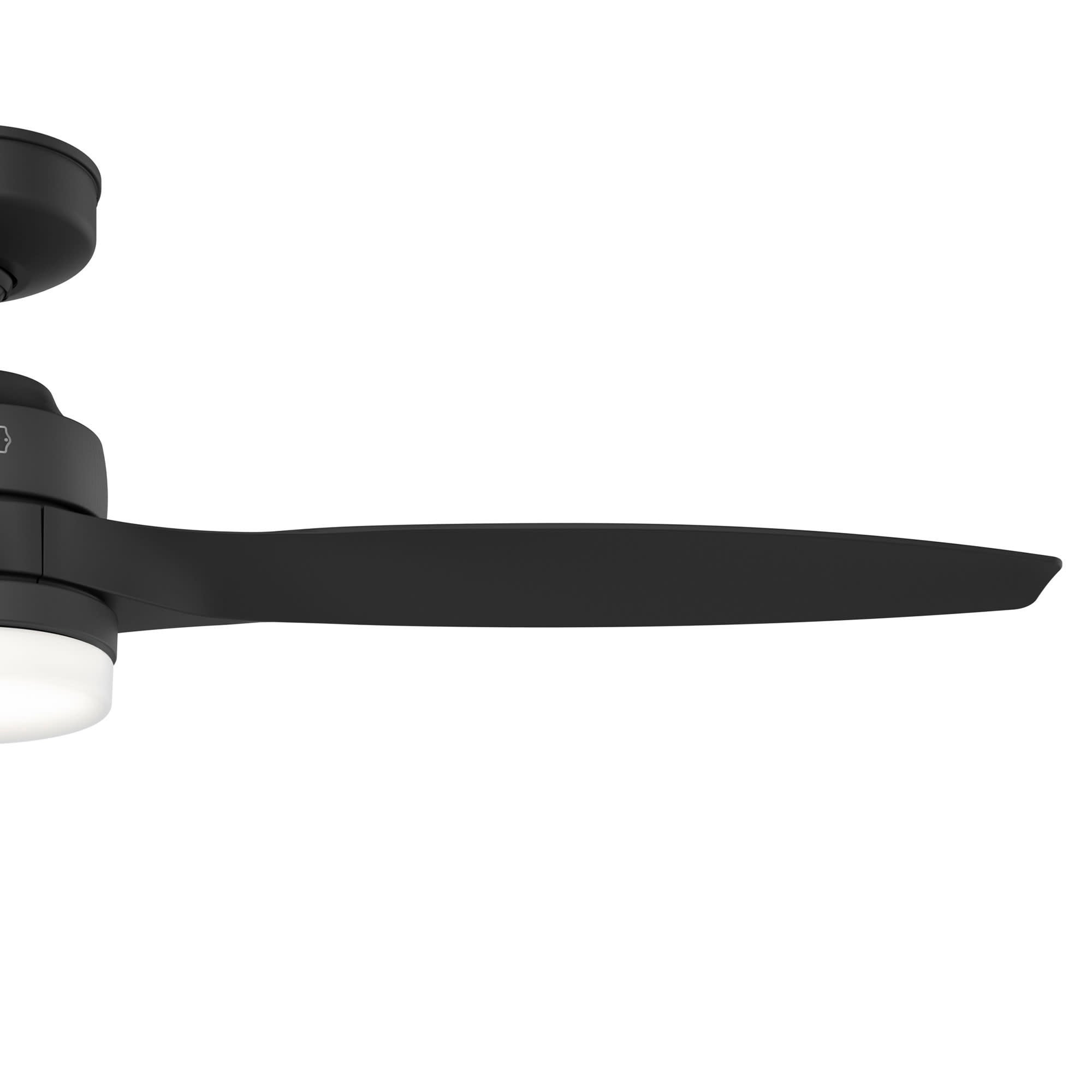 Hunter Trielle 52" Indoor/Outdoor Ceiling Fan