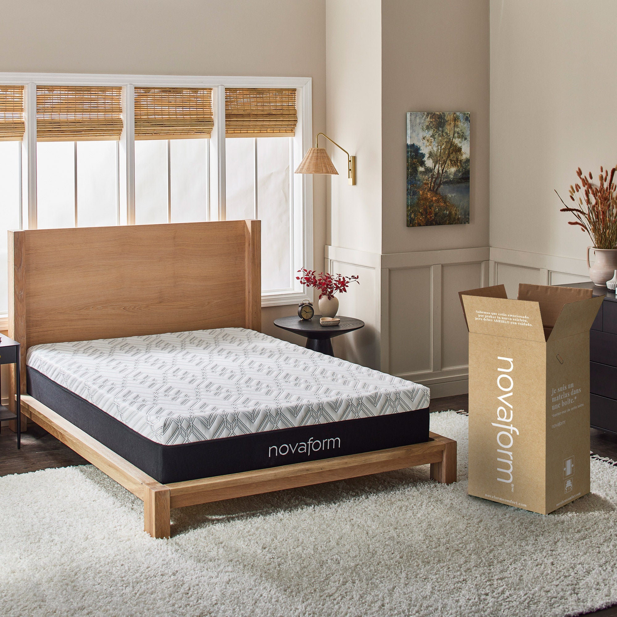 Novaform Advanced Back Support Plus 12” Responsive Foam Mattress