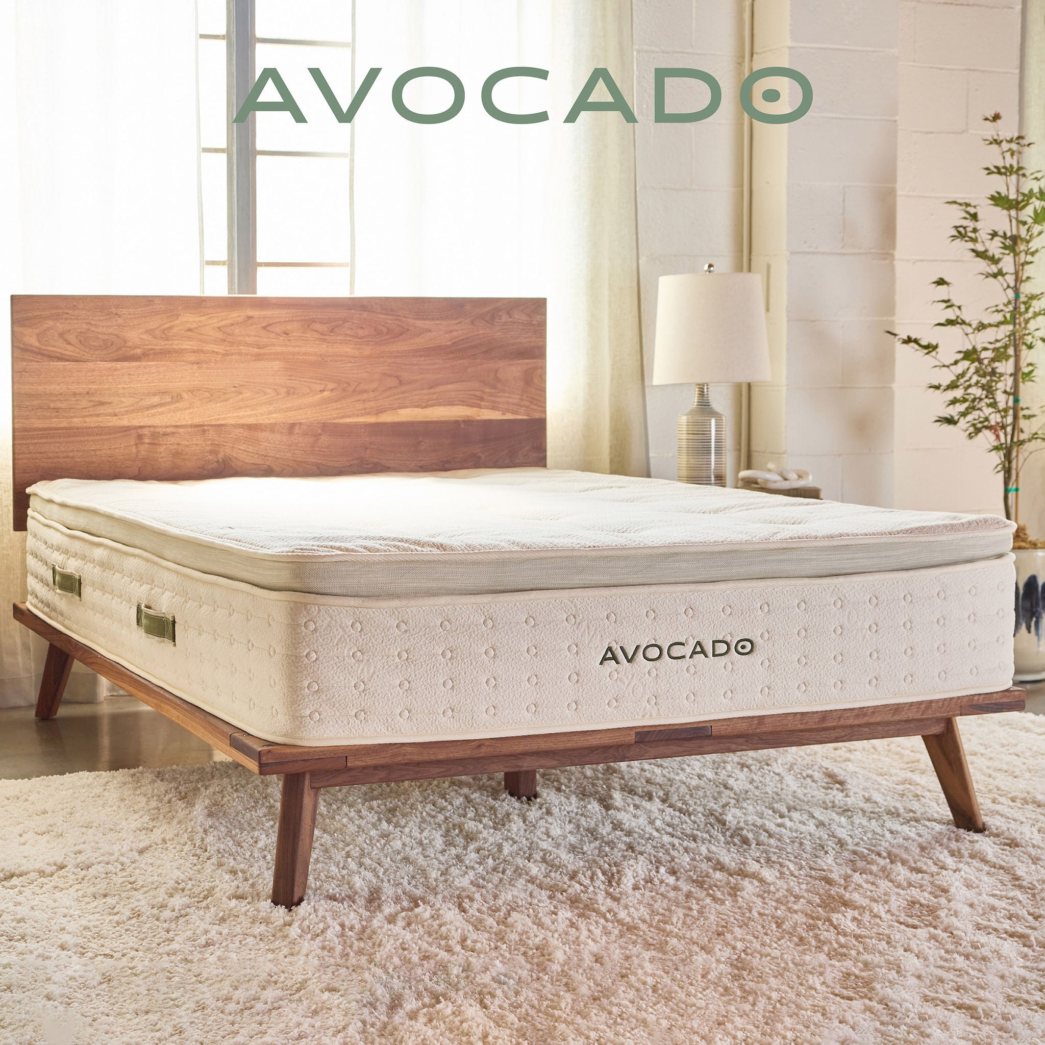 Avocado Organic 13" Medium-Plush Pillowtop Hybrid Mattress