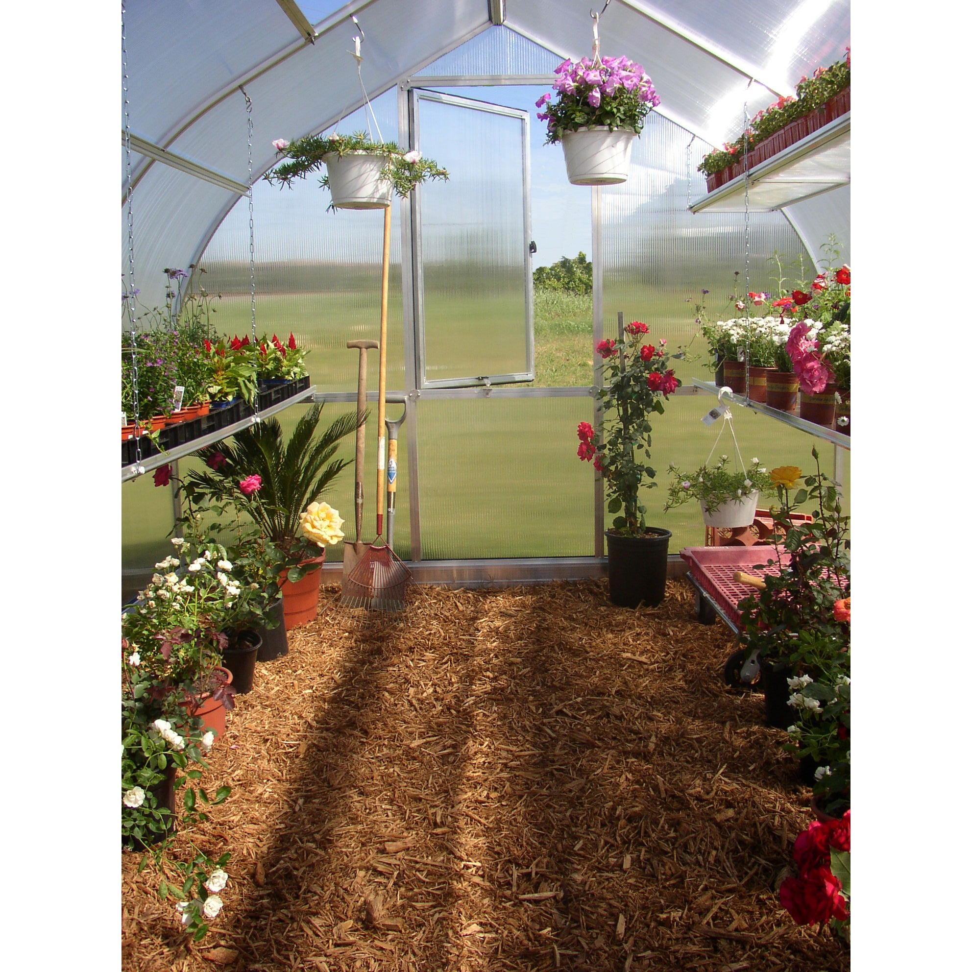 Exaco Riga Professional Greenhouse