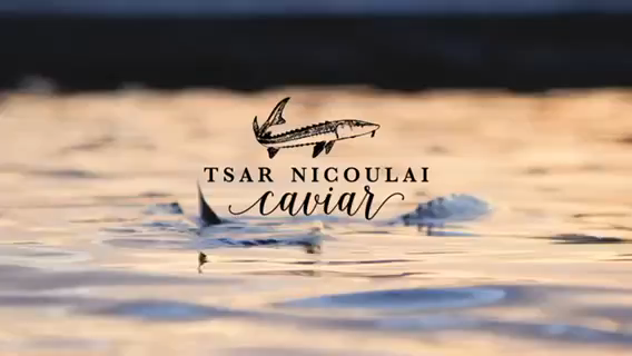 Tsar Nicoulai Estate Smoked Sturgeon 6 oz, 6-count, 2.25 lbs