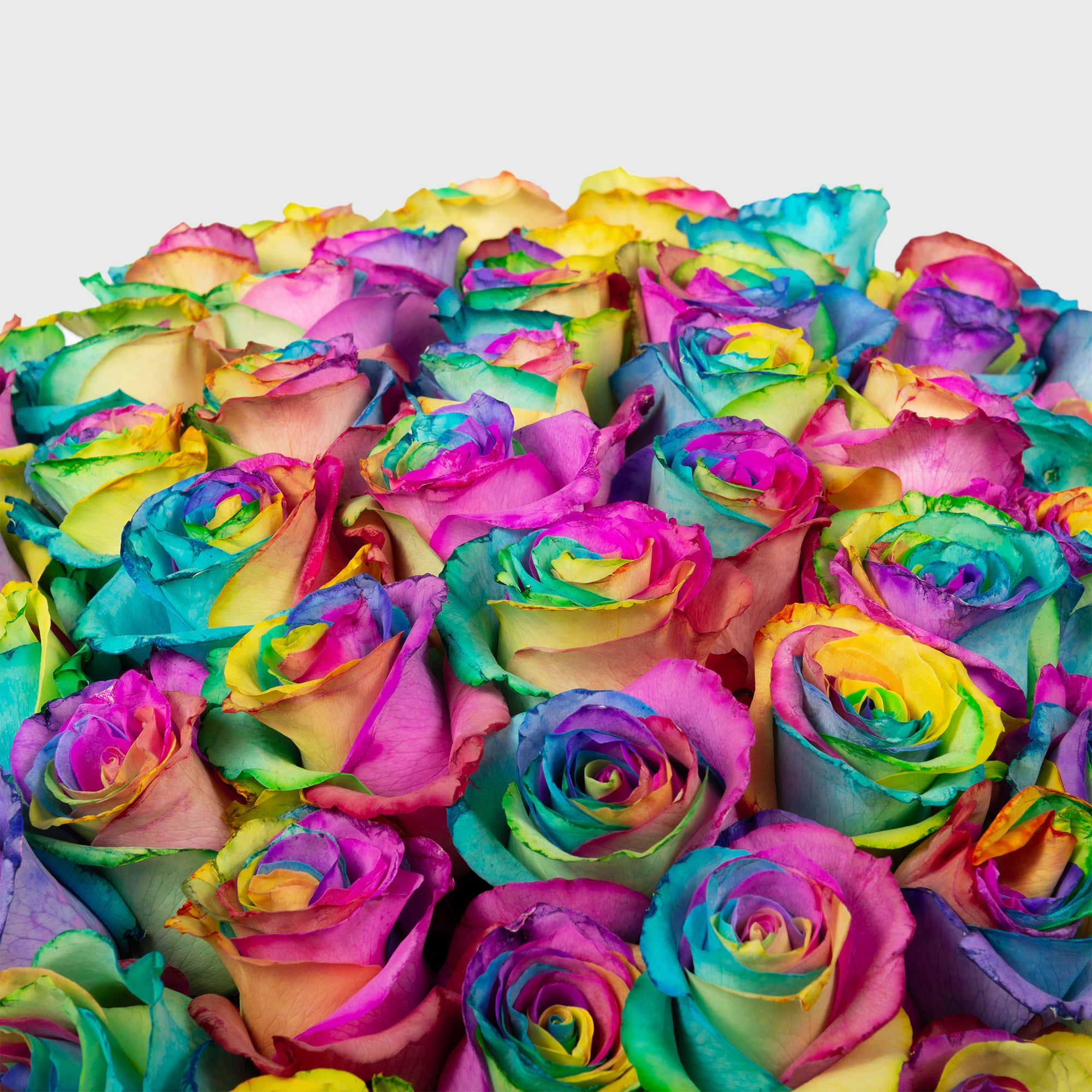 50-stem Rainbow Roses