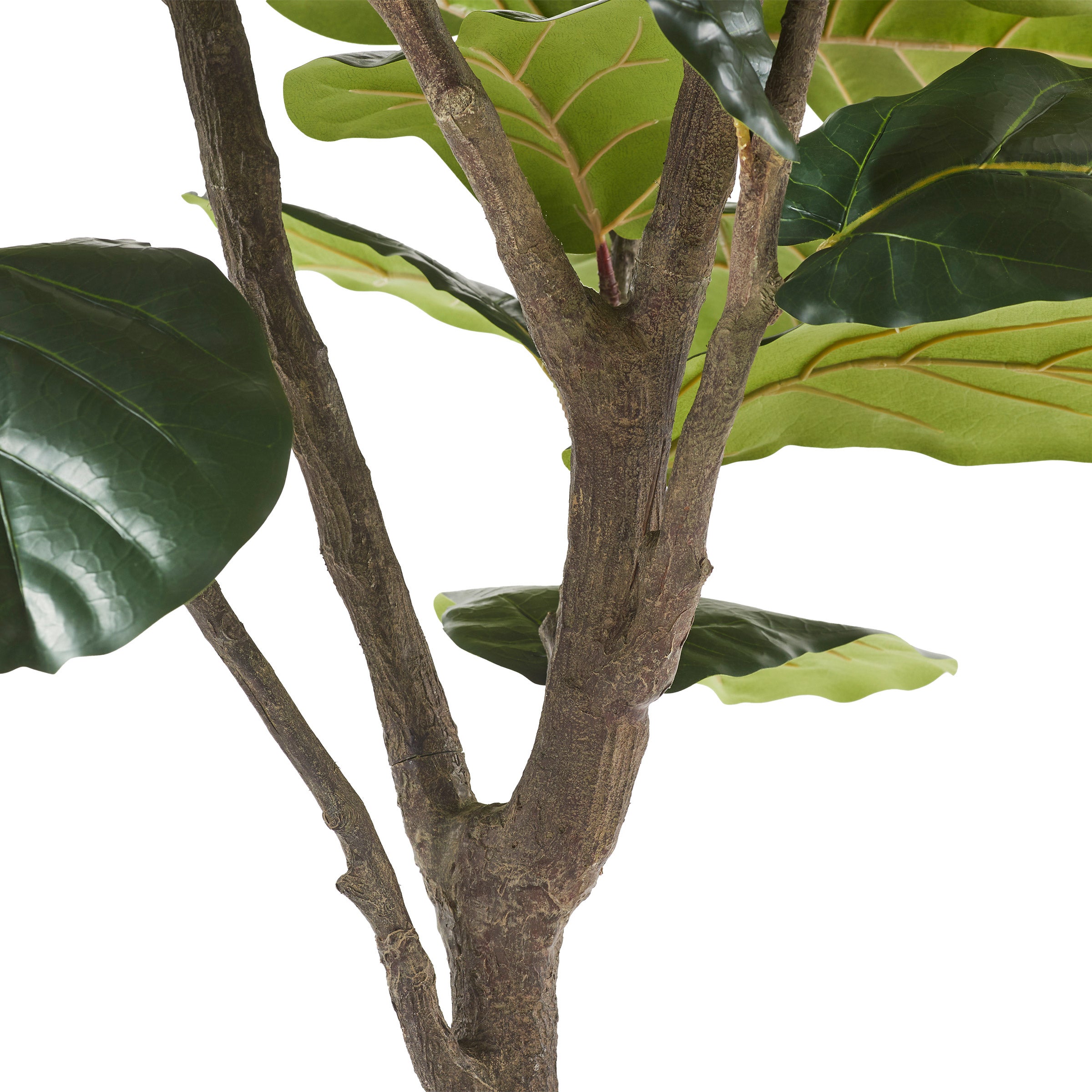 Faux 10’ Fiddle Leaf Fig Tree