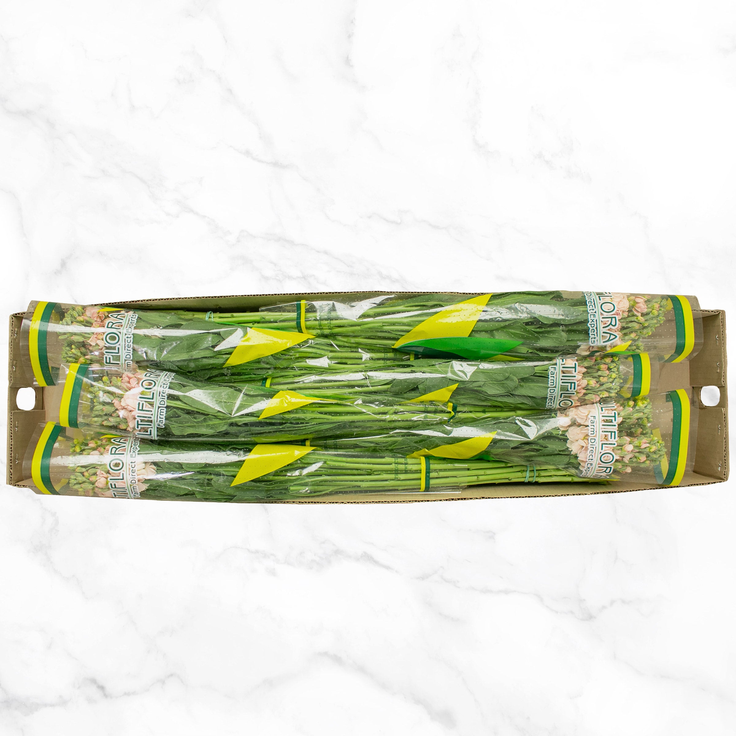 Bulk Flowers Stock, 100-Stems
