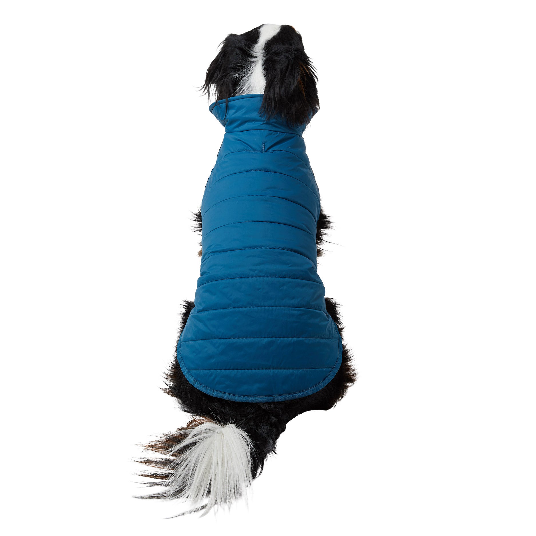 32 Degrees Dog Jacket