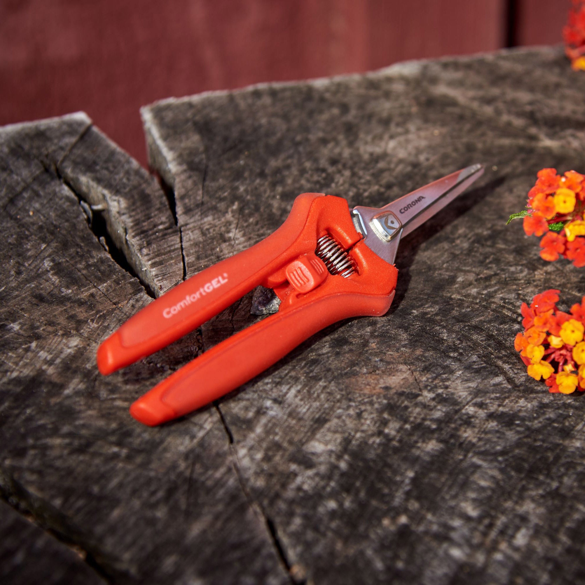 Corona Trimming and Pruning Set