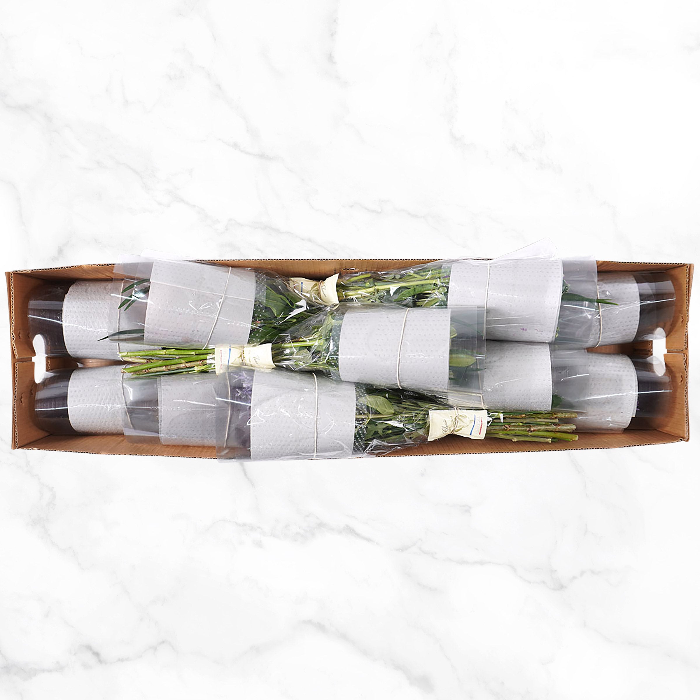 Mountain Bouquet Event Collection, 10-count
