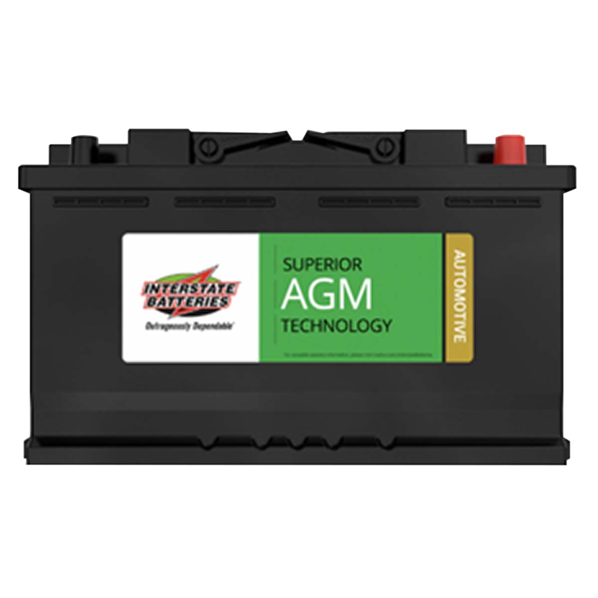 Interstate Batteries Powersport AGM Battery FAYIX30L