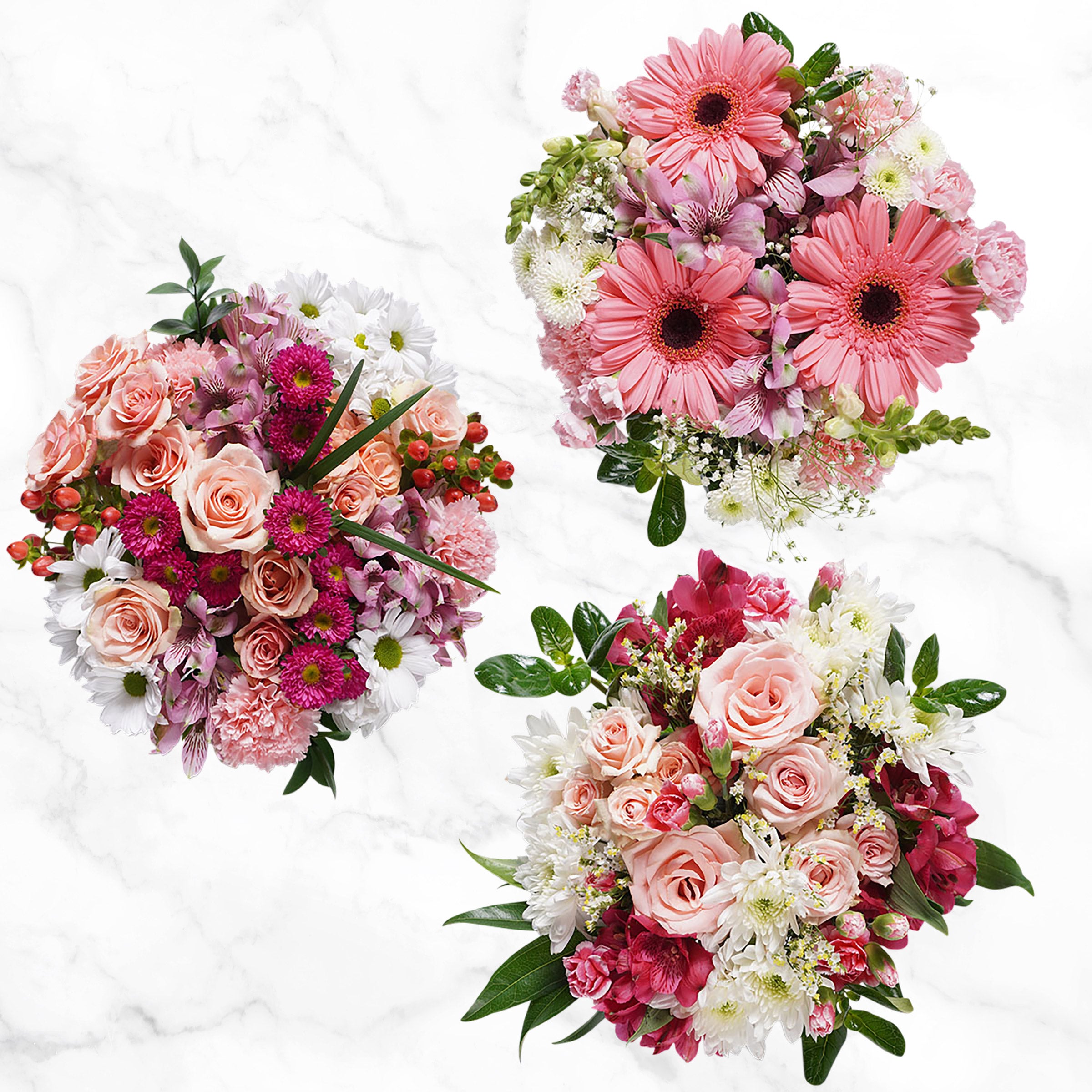Mountain Bouquet Event Collection, 10-count