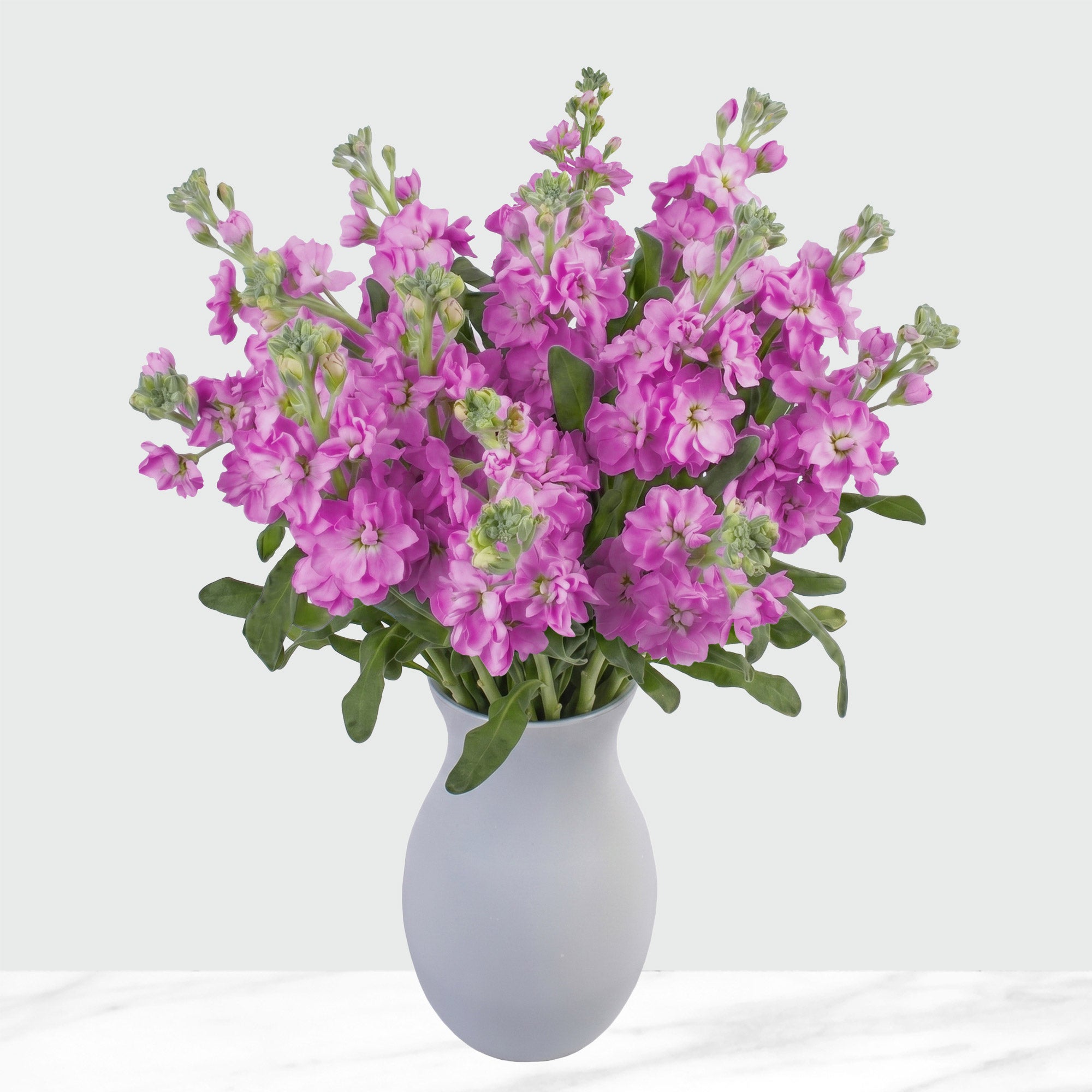 Bulk Flowers Stock, 100-Stems