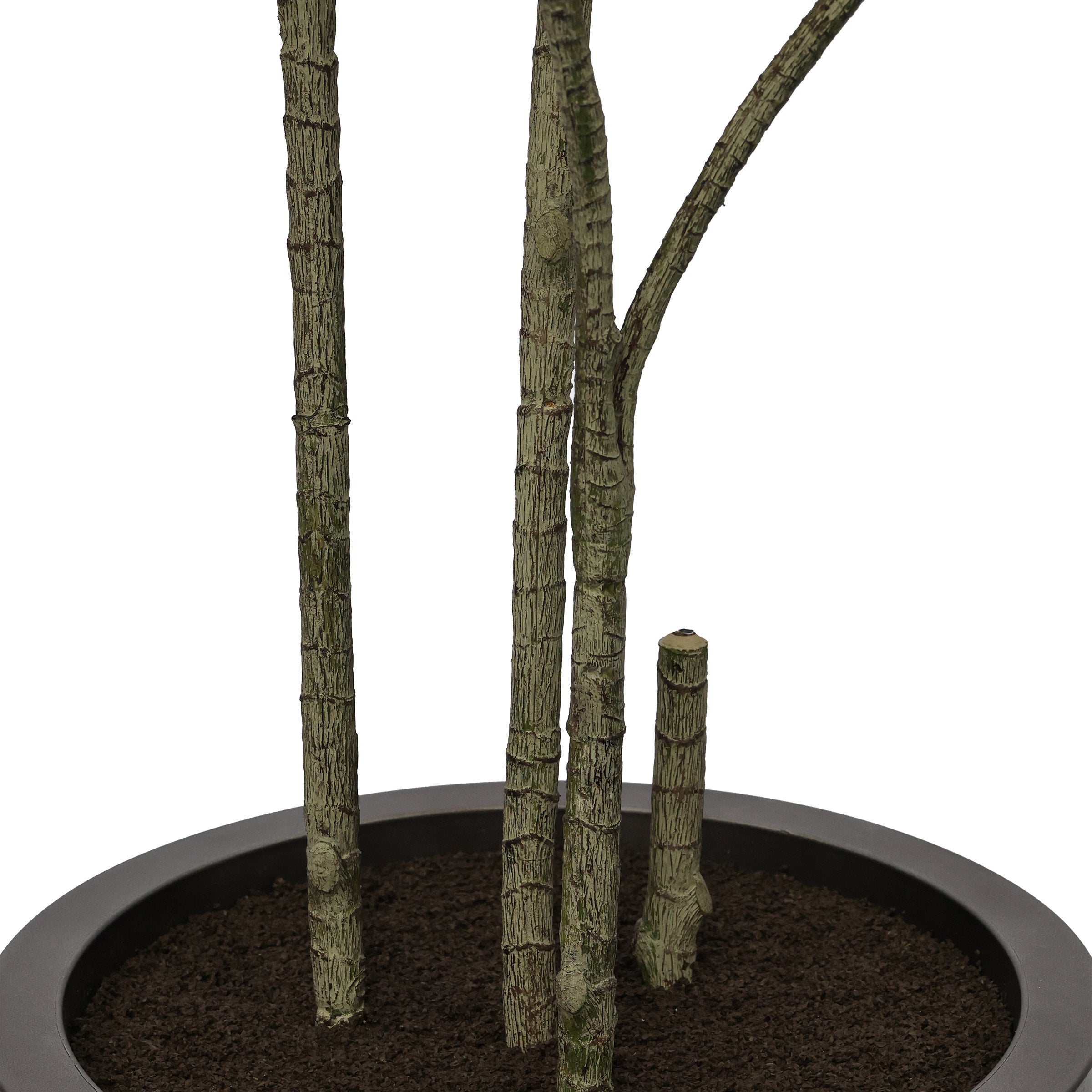 Faux 6.5' Dracaena Tree