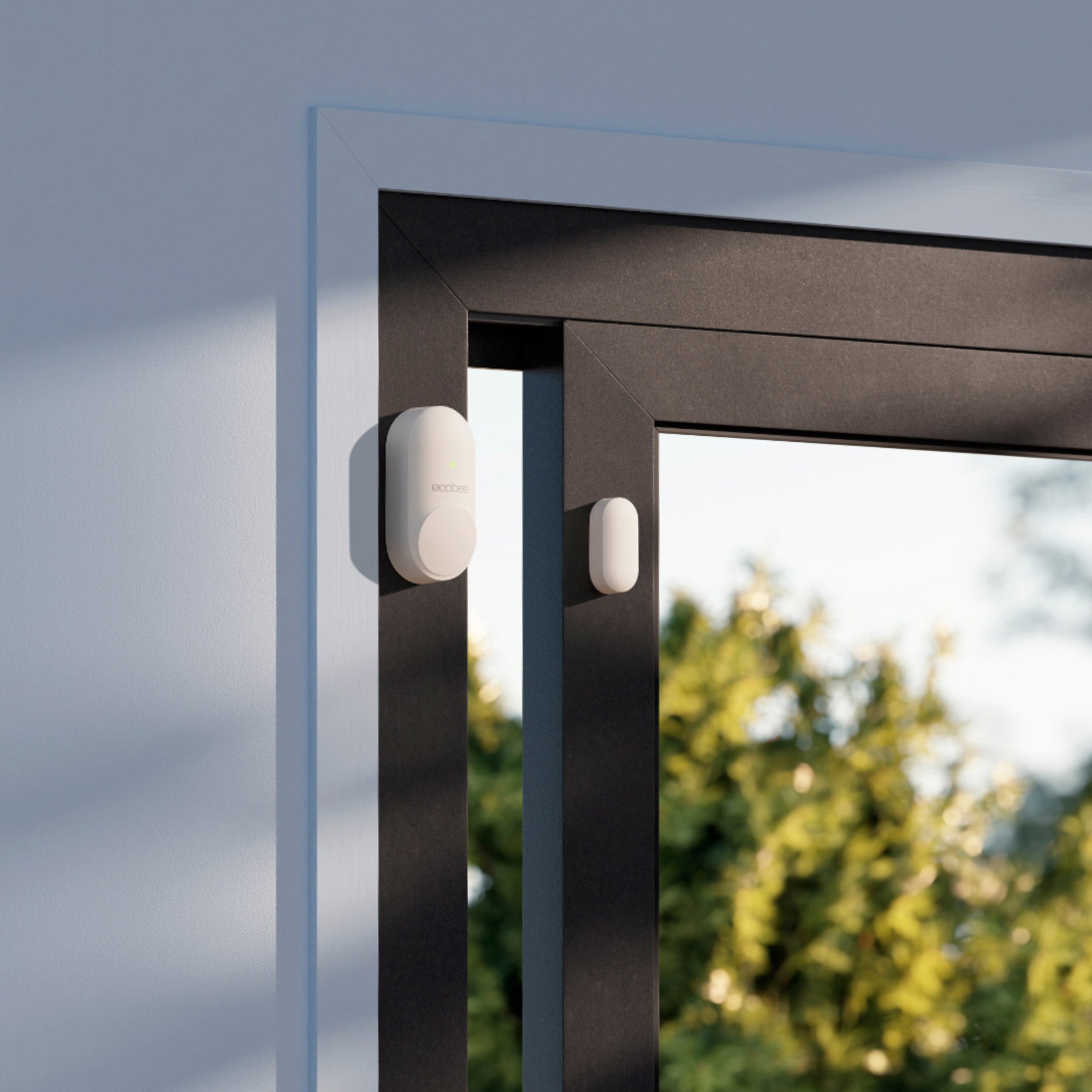 ecobee Security Bundle, Smart Doorbell + SmartSensor for Doors & Windows