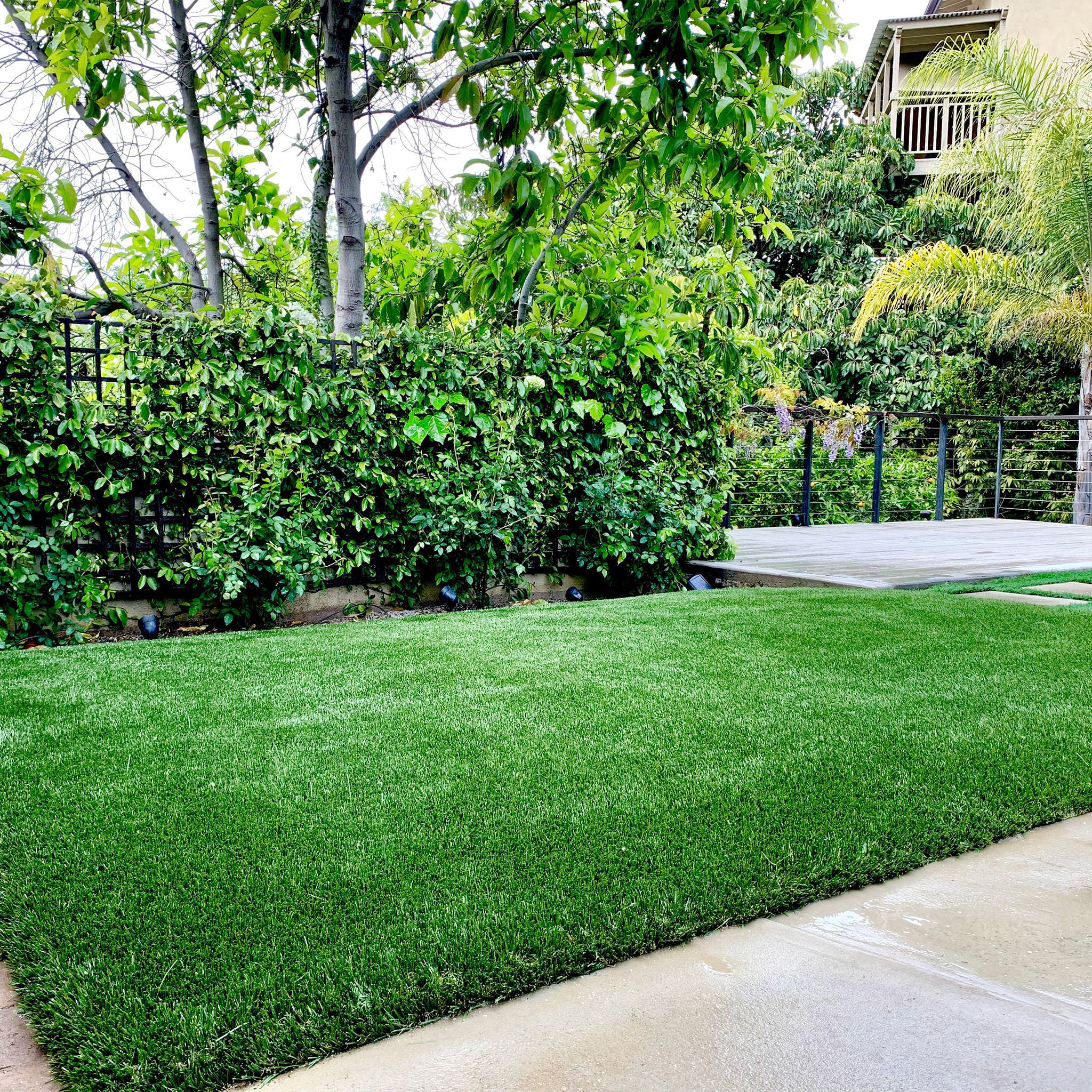 PreGra 80 oz Platinum Artificial Turf
