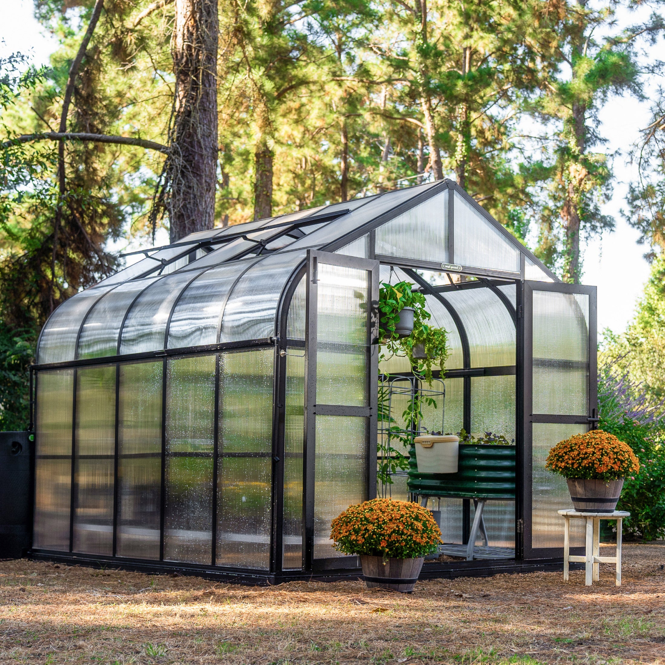 Vego Garden Pacific Greenhouse with Auto Vents and Folding Shelf Bundle