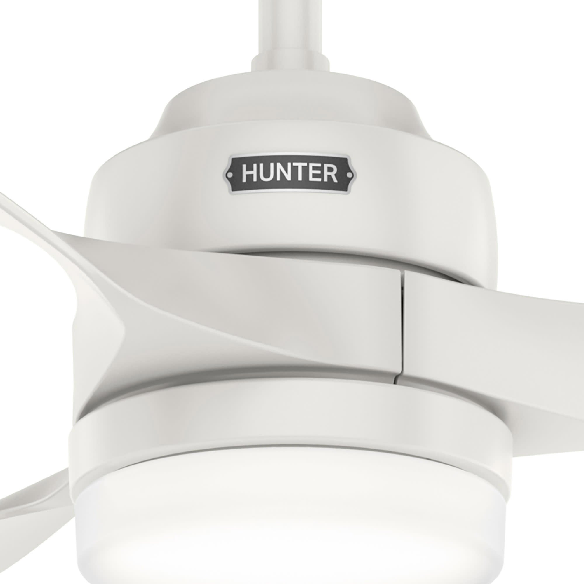 Hunter Trielle 52" Indoor/Outdoor Ceiling Fan