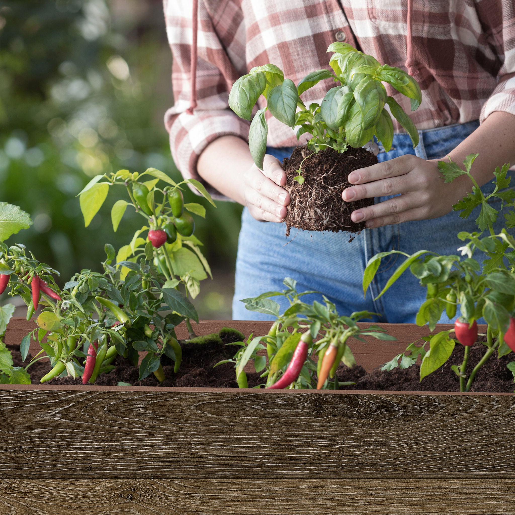 Walnut Elevated Garden Bed