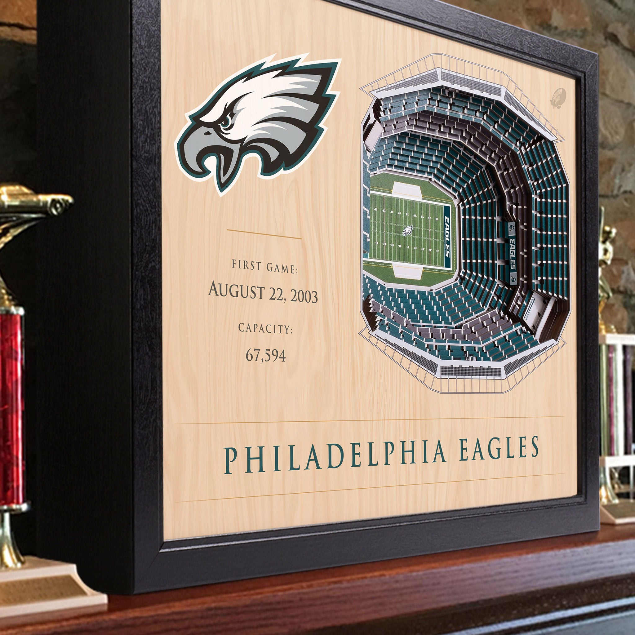 NFL 25-layer Stadium View Wall Art