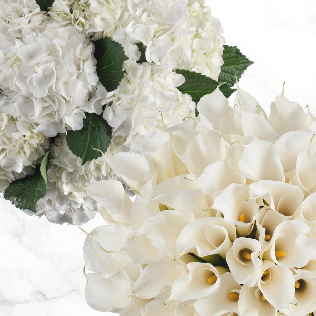 40-stem Calla Lilies and 20-stem Hydrangea