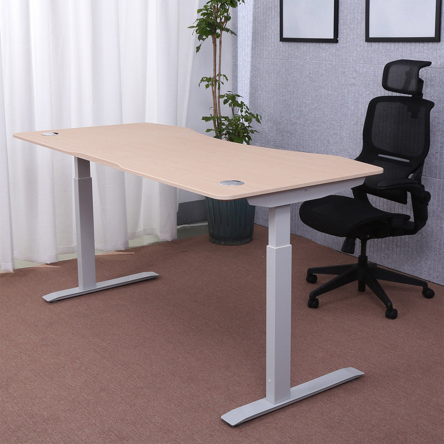 ApexDesk Elite Series 71” x 33” Height Adjustable Desk