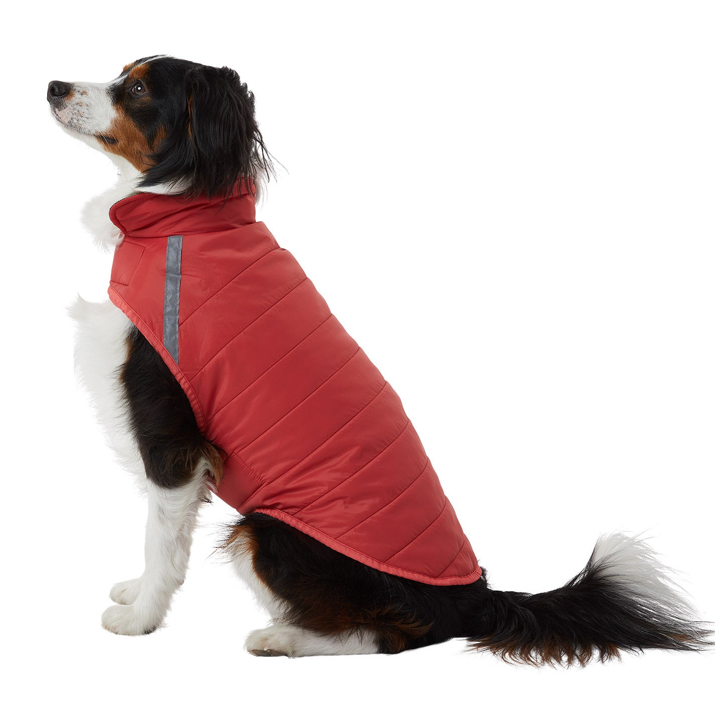 32 Degrees Dog Jacket