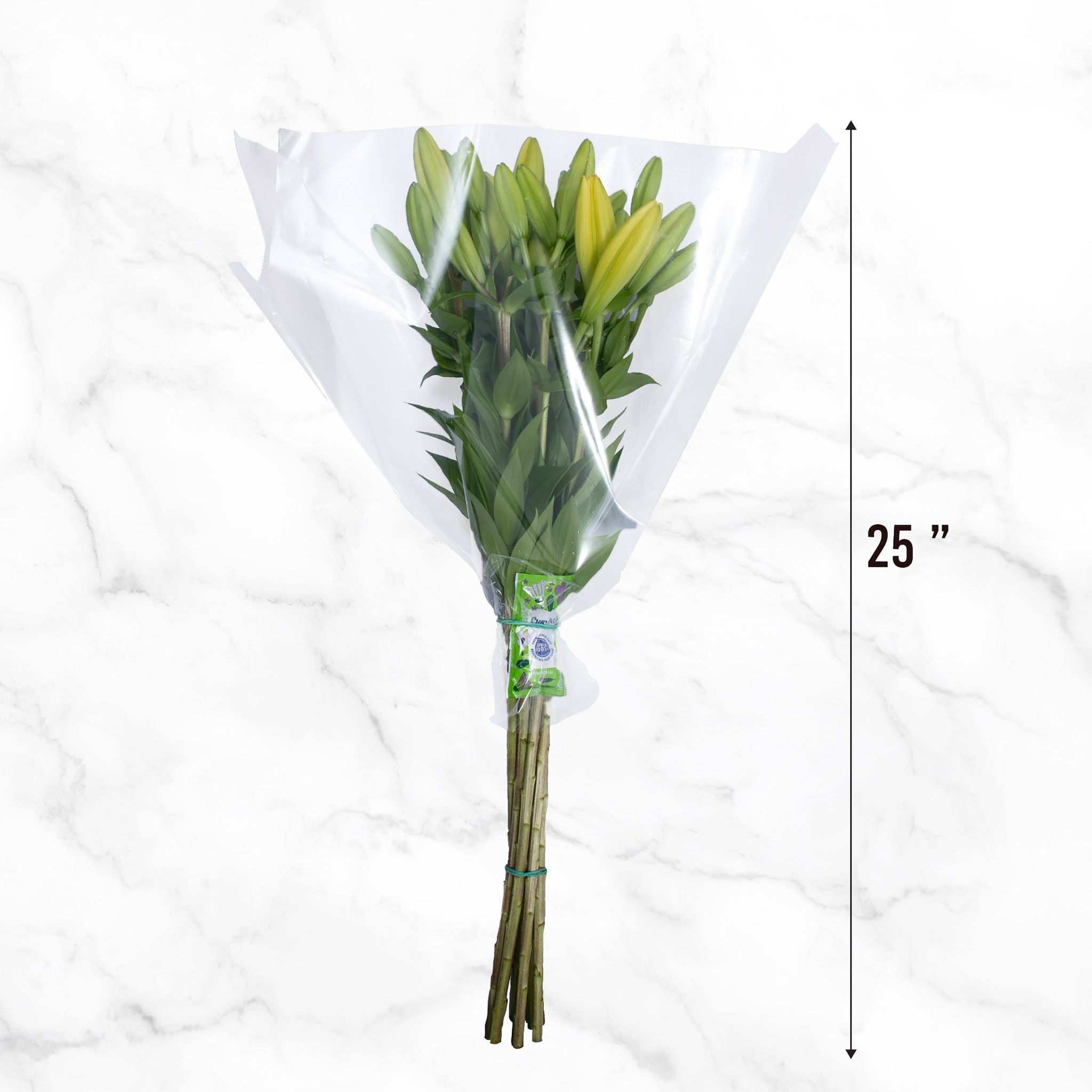 40-stem Asiatic Lilies