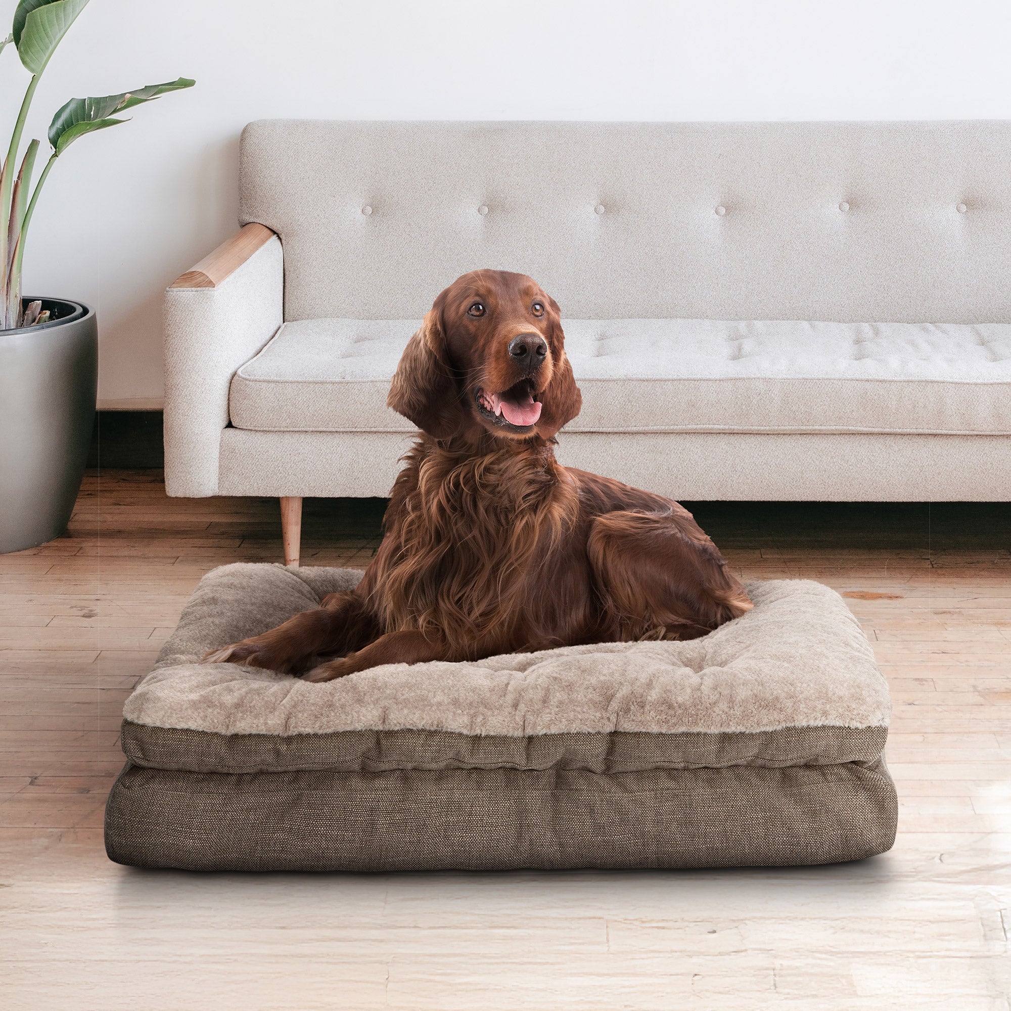 Kirkland Signature Pillow Top Gusseted Bed
