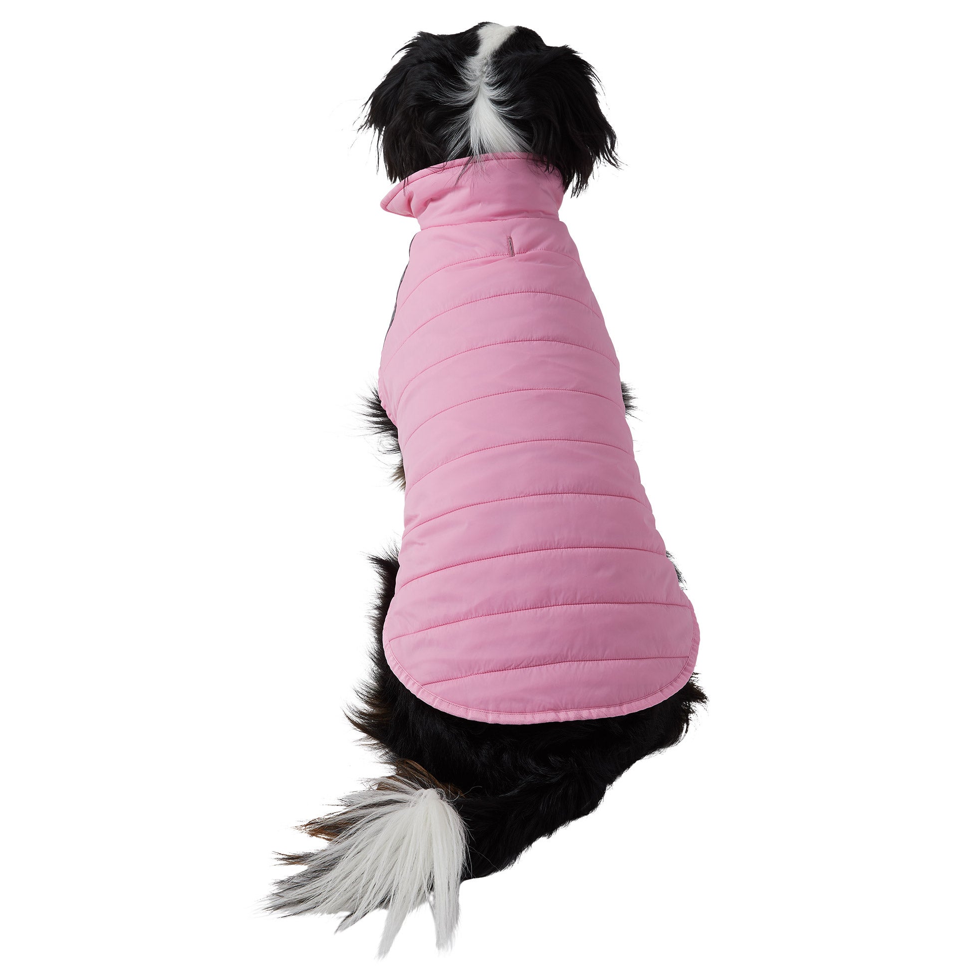 32 Degrees Dog Jacket