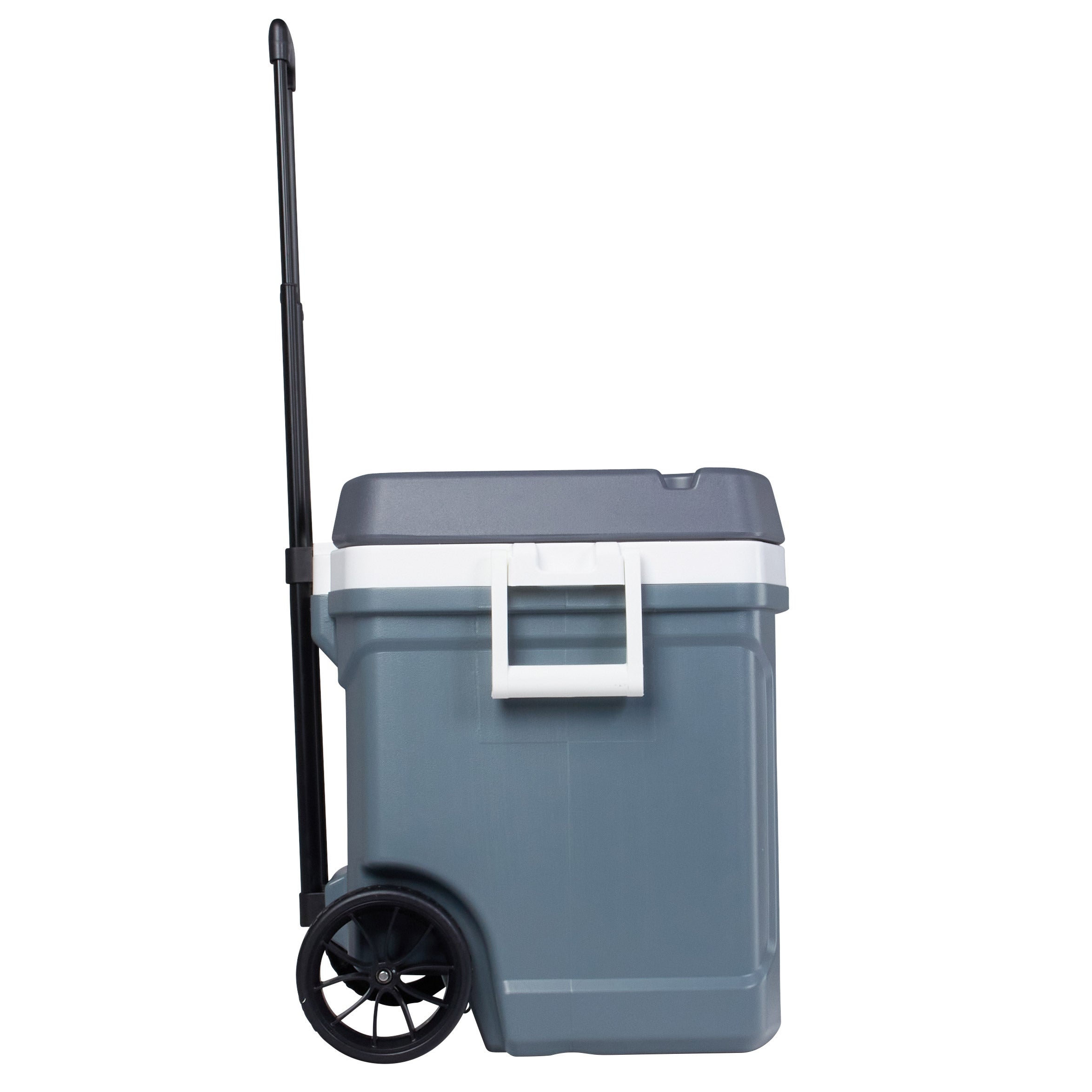 Igloo 62-quart Maxcold Latitude Roller