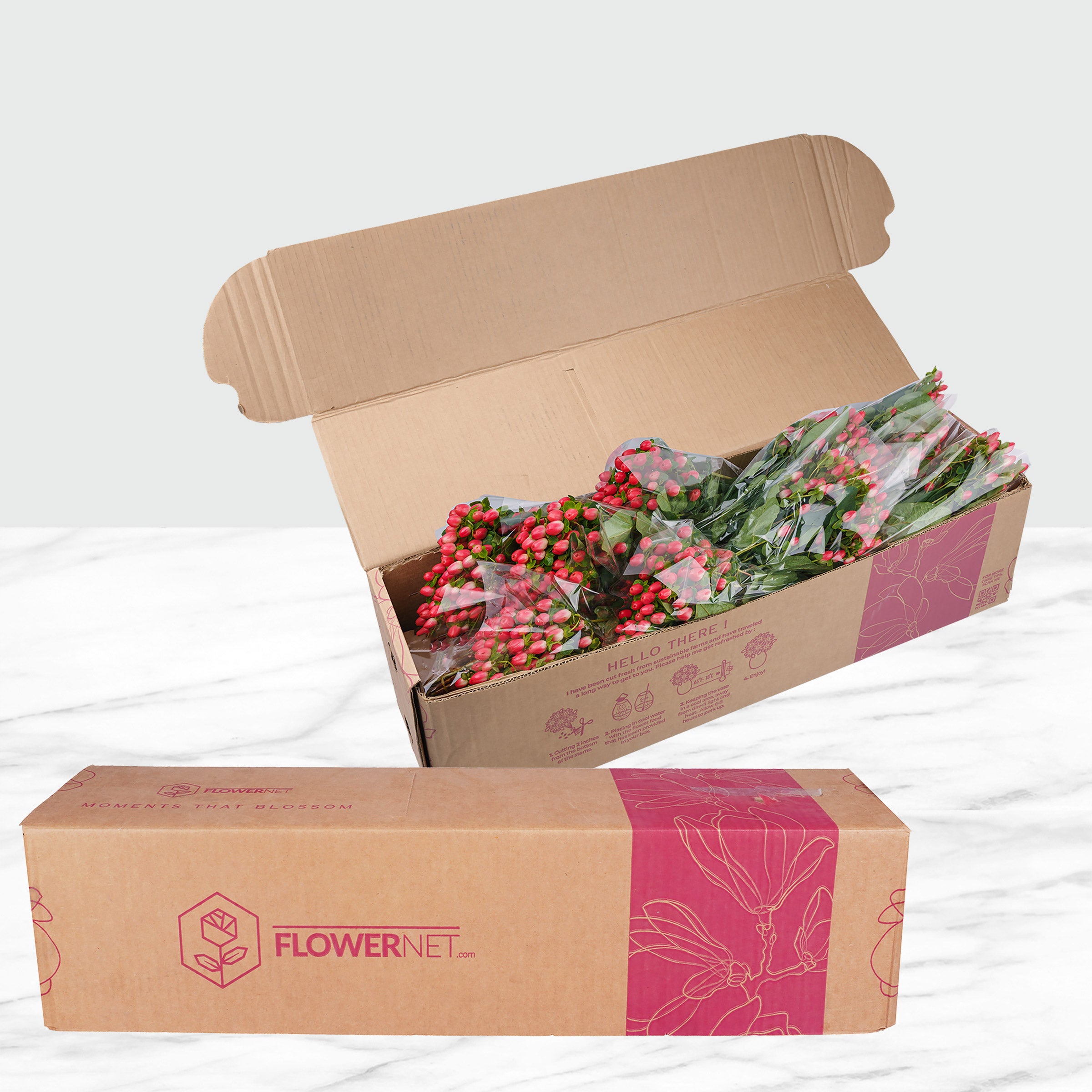 100-stems Hypericum