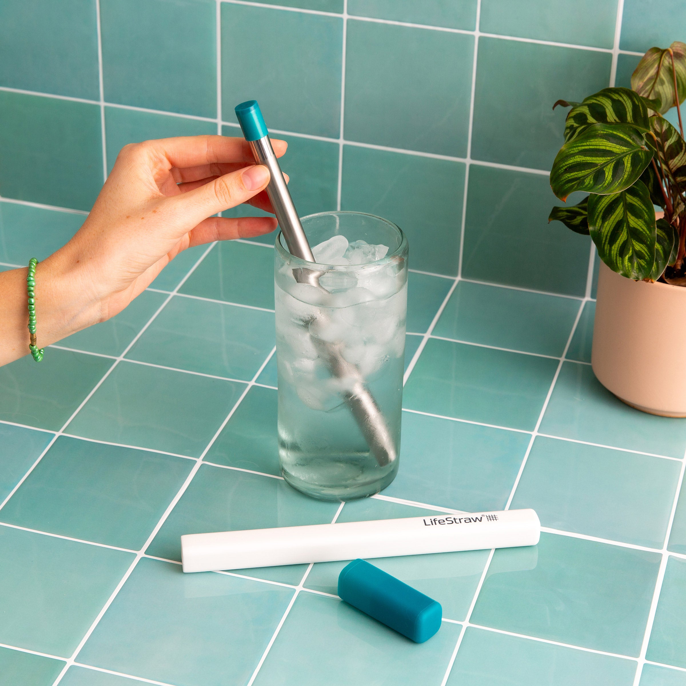 LifeStraw Water Filter Variety Pack