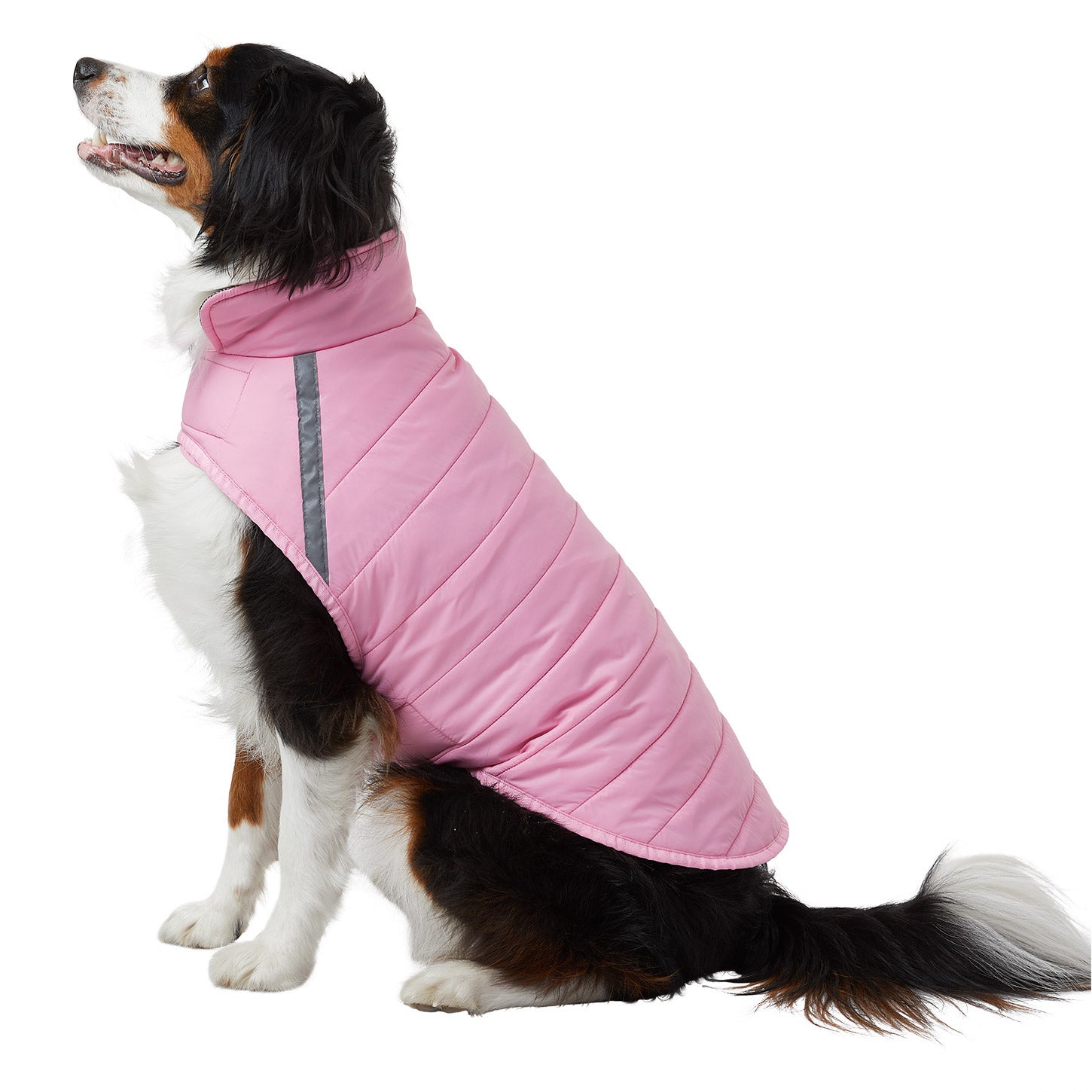32 Degrees Dog Jacket