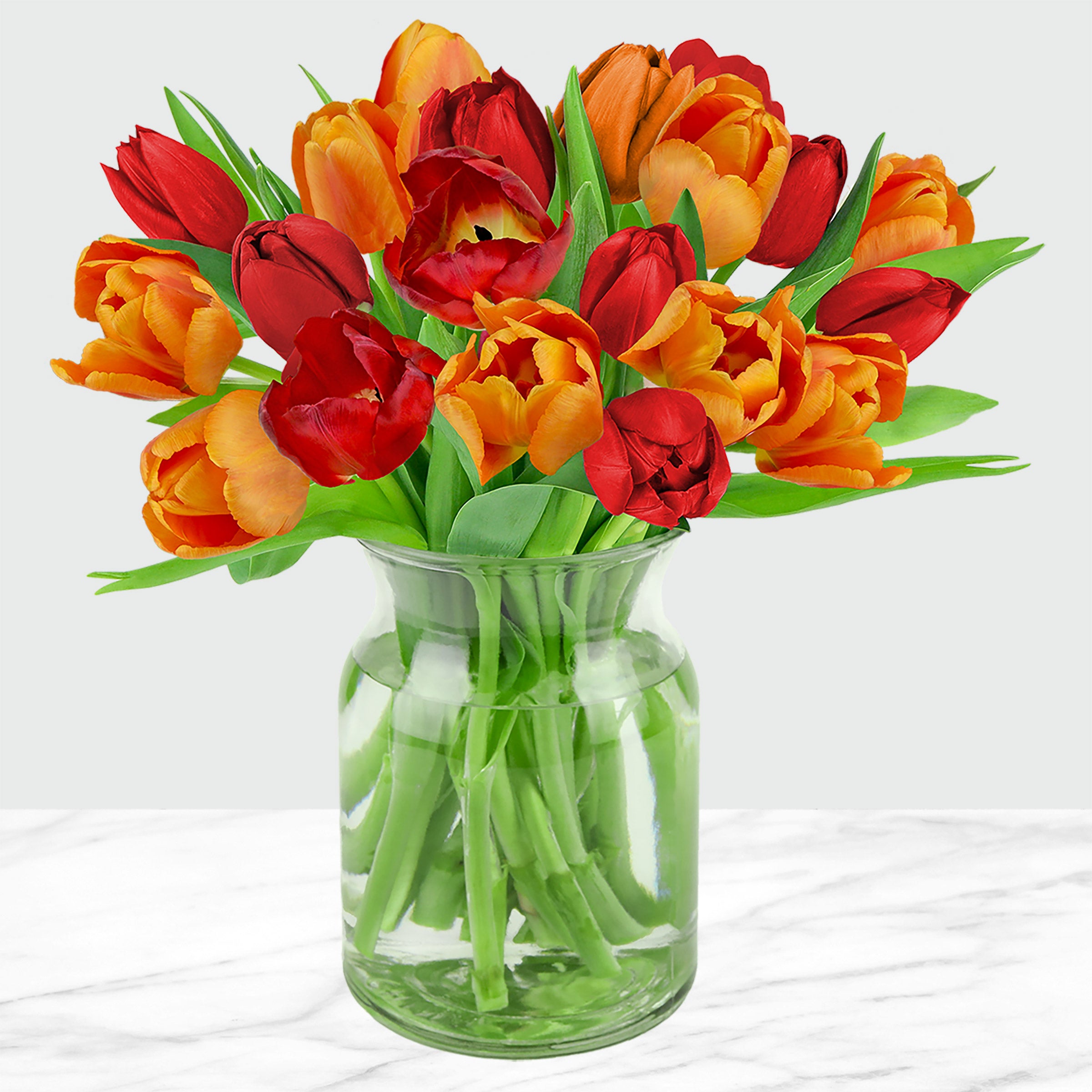 Fall Tulips 20-Stems